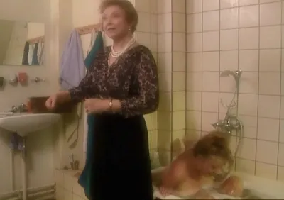 Паприка Стин