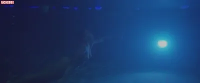 Дэй Макдональд