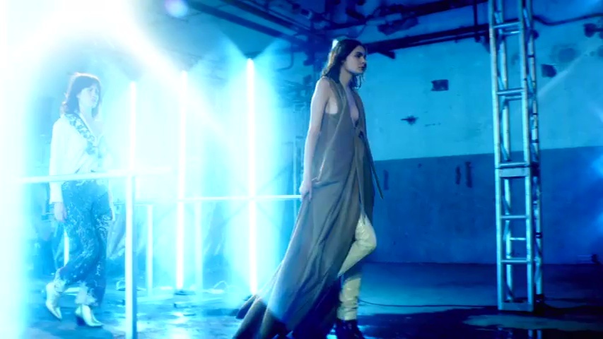 Дельфина чавес