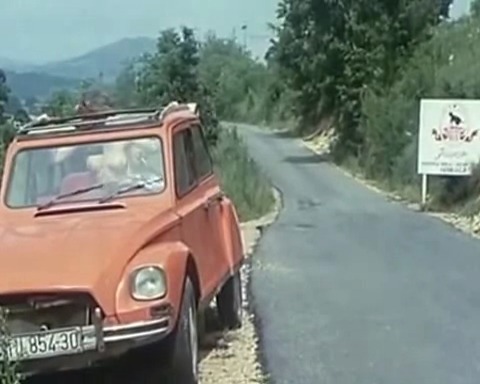 Снезана михелчич