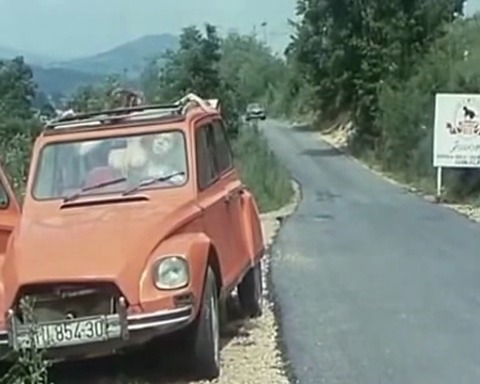 Снезана михелчич