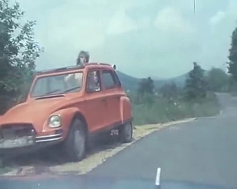 Снезана михелчич