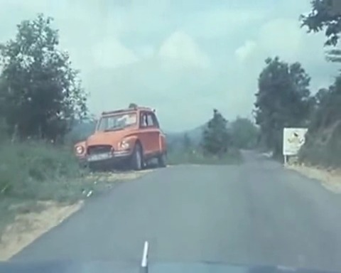 Снезана михелчич