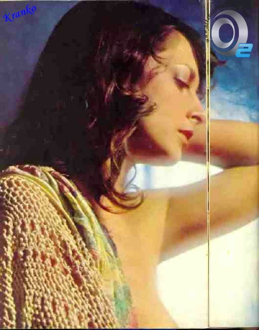 Биби Фогель