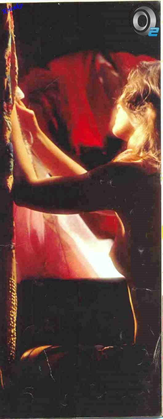 Биби Фогель