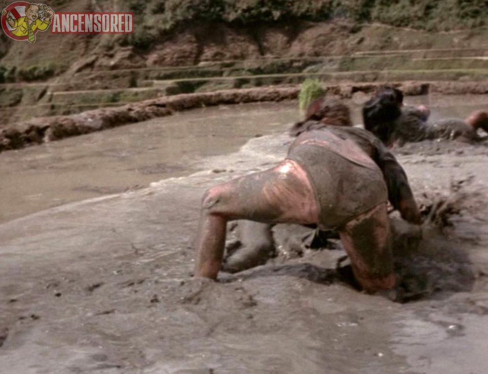 Теда Браччи