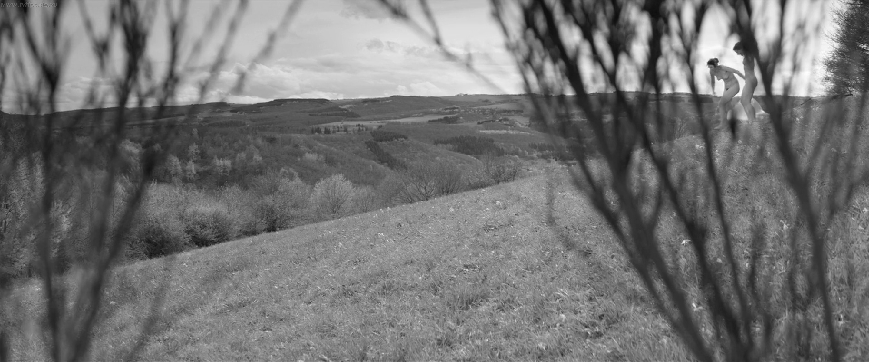 Антония Билл