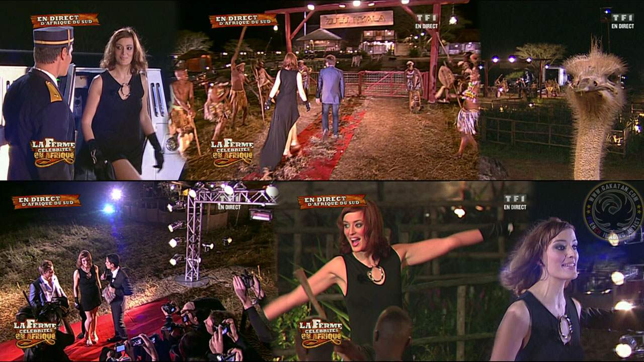 Келли Боченко