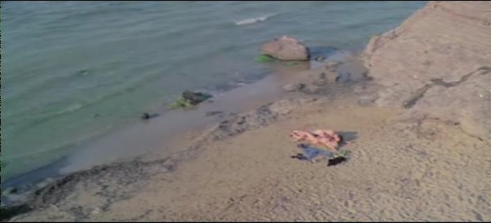 Альбертина Капуани