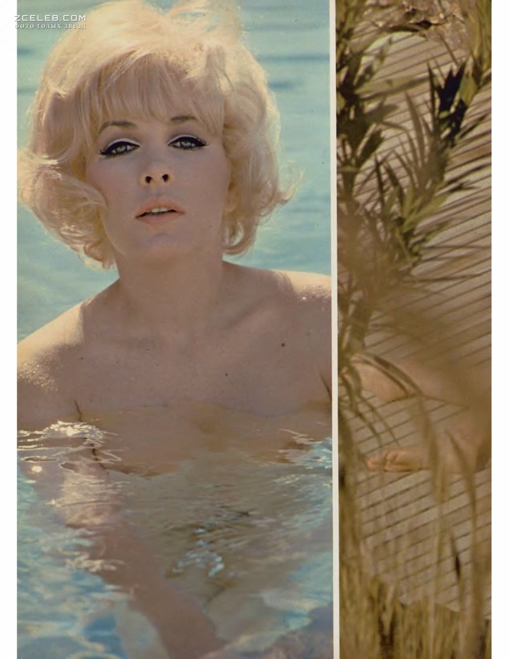 Стелла Стивенс